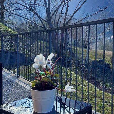 Casa Laura Zona Bellagio Lägenhet Magreglio Exteriör bild